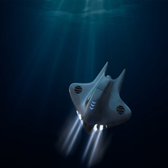 水下機器人手板模型